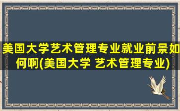 美国大学艺术管理专业就业前景如何啊(美国大学 艺术管理专业)